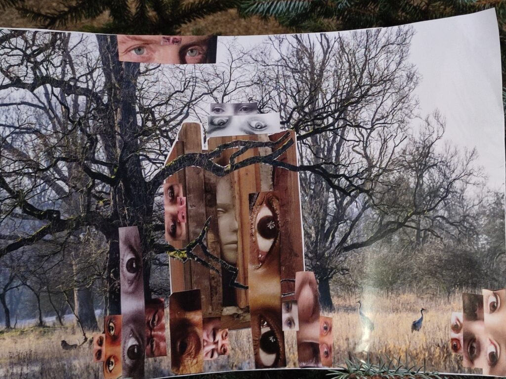 Kollage auf einem Baum und verschiedenen Augen.