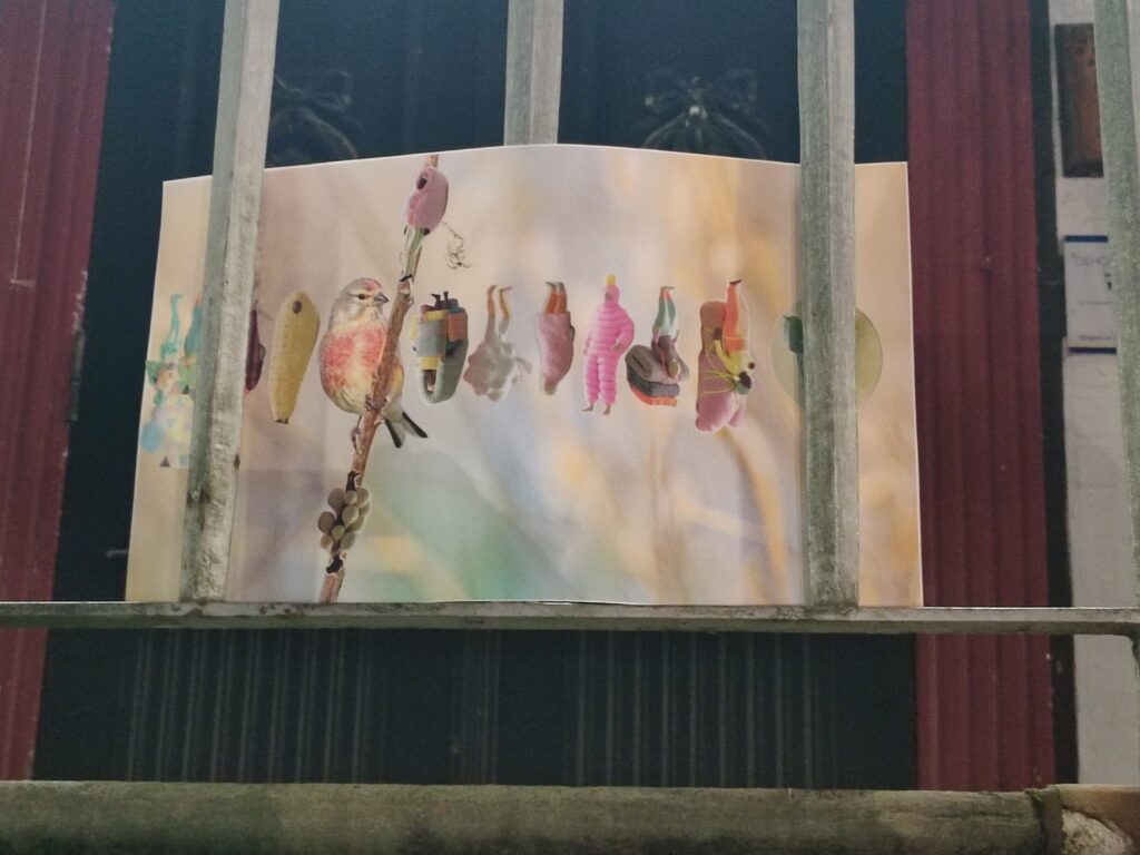 Kollage aus verschiedenen Vögeln und Figuren. Im Hintergrund Pastelfarben.