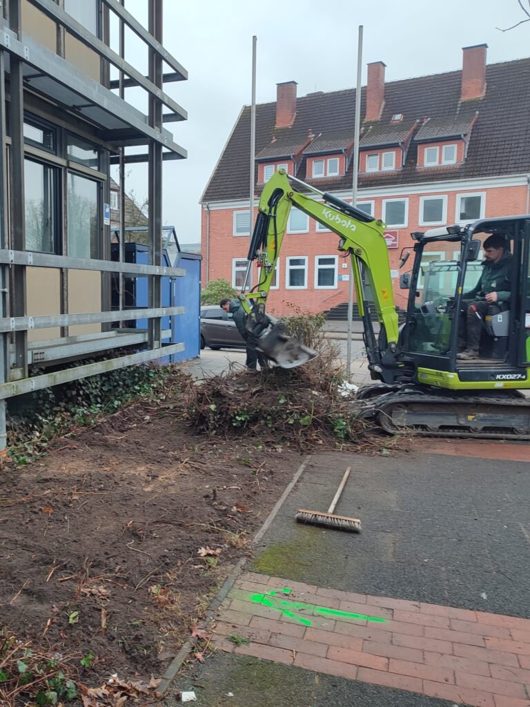 Ein Bagger entfernt Grünzeug vor dem Alten Rathaus. Vor dem Bagger liegt ein Besen auf dem gepflasterten Weg.